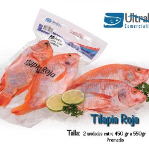 tilapia roja en medellín